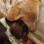 Iris  Bender - @siri.redneb - Instagram