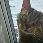 Iris bender 🐱 - @iris_the_one_eyed_wonder - Instagram