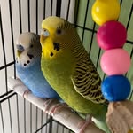 amirahphotodump - @irisbennit - Instagram