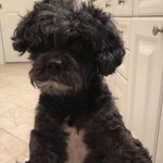 Iris Bennett - @marylandhon2021 - Instagram