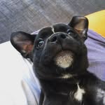 Iris Benson - @stinkles_benson - Instagram