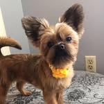Iris Bergeron - @memebergeron - Instagram