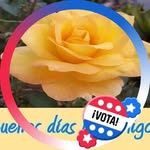 Iris Berrios - @irisberrios1955 - Instagram