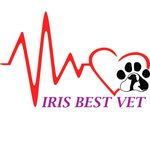 Iris Best Vet - @irisbestvet_brasov - Instagram