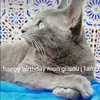 beverly.iris - @beverly.iris - TikTok