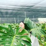 湛湛湛 - @irisbirddy - Instagram