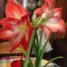 Iris Blair - Facebook