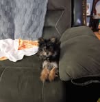 Iris Blankenship - Facebook
