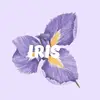 iris.bloom_ - @iris.bloom_ - TikTok