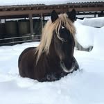 Iris Böckenheuer - @irisbockenheuer - Instagram