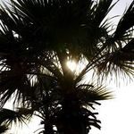 Iris Bodeguero-Andaluz - @iris_bodeguero - Instagram