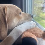 Alva Iris Maldonado Bonet - @mommabonet_ - Instagram