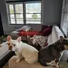 Iris Booker - @iris.booker - TikTok