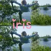 iris_bosch - @iris_bosch - TikTok