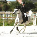 Iris Bouchard 🇫🇷 - @irisb_et_ses_poneys - Instagram