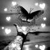 Iris Braun - Facebook