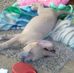 Iris Brewer - Facebook