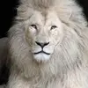 Iris Malena Lan De Britton - @iris.malena.lan.d - TikTok
