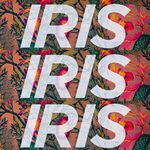 Iris Gail Brooks - @irisgailbrooks - Instagram
