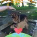 Iris Brunner - Facebook