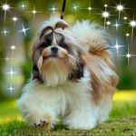 Iris Bruno - @iris.bruno.100 - Instagram