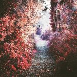 Iris.Bruno♡ - @iris.bruno05 - Instagram