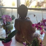 Iris Bucci - @yogateach.iris - Instagram