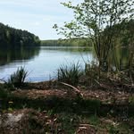 Iris Burkhardt - @iris.burkhardt.37 - Instagram