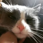 Iris Burnham - @iris_elizabeth_burnham - Instagram