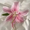 iris - @y.irisss - TikTok