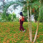 Laila - @iris_burrry - Instagram