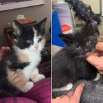 Burt & Iris - @burt_and_iris - Instagram