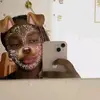 🥀.Íris Butcher - @butch.065 - TikTok