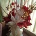 Iris Byrd - Facebook