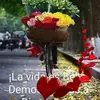 Iris Cabezas196 - @iris.cabezas - TikTok