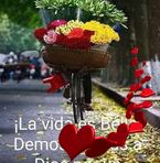 Iris Cabezas - Facebook