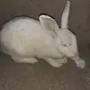 Iris Caceres - @iriscaceres8 - TikTok