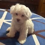 Iris canales - @iriscanales72 - Instagram