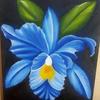 Iris Candelario - @iris.candelario6 - TikTok