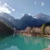 Iris Carlson - @guanqi88 - TikTok