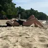 LaCartagena - @iriscartagena - TikTok