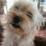 iris_cascoo - @iris_cascoo - Instagram