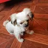 Iris Cerda827 - @iriscerda827 - TikTok