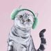 Iris Chamberlain - Facebook