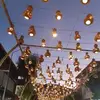 irishchamberlain - @irishchamberlain - TikTok