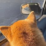 Iris Cheung - @iris.cheung_ - Instagram