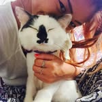 IRis Chin - @iris_henna_sh - Instagram