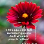 Iris Clark - @eu_decidi - Instagram