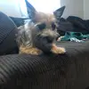 irisbc - @iriscohen04 - TikTok