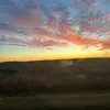Iris_spam - @iriscoleman5 - TikTok